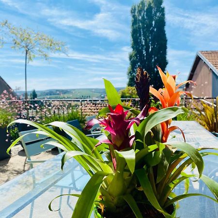 Villa Kundalini - Guest House Vincelles  المظهر الخارجي الصورة